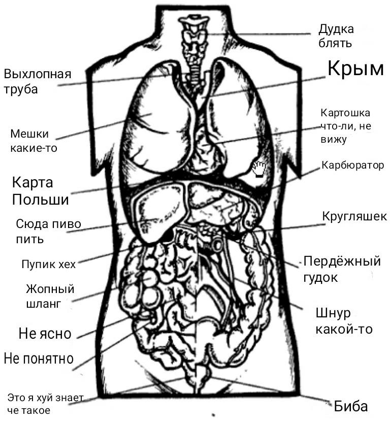 Дудка блять Выхлопная Крым труба Картошка то-ли, не Мешки вижу какие-то Карбюратор Карта Польши Кругляшек Сюда пиво ПИТЬ Пупик хех -Пердёжный гудок Жопный шланг Шнур Неясно какой-то Не понятно Это я х