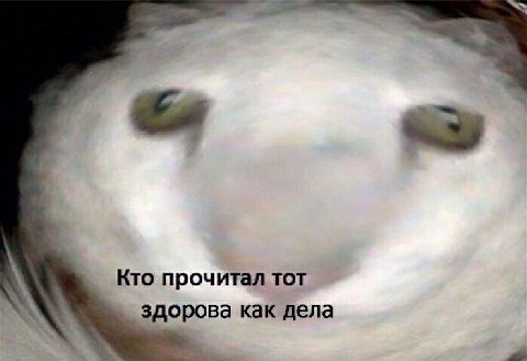 Кто прочитал тот здорова как дела