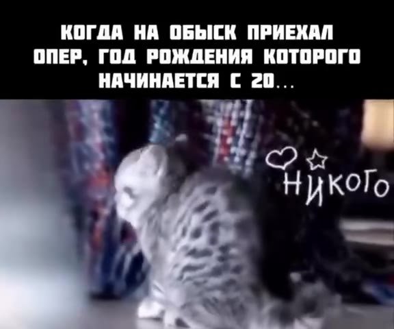 КОГДА НА ОБЫСК ПРИЕКАЛ ОПЕР, ГОД РОЖДЕНИЯ КОТОРОГО Ро Никого