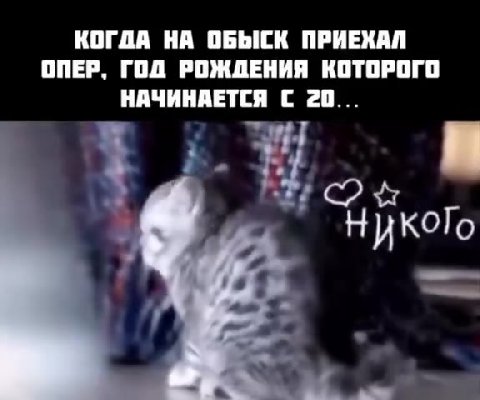 КОГДА НА ОБЫСК ПРИЕКАЛ ОПЕР, ГОД РОЖДЕНИЯ КОТОРОГО Ро Никого