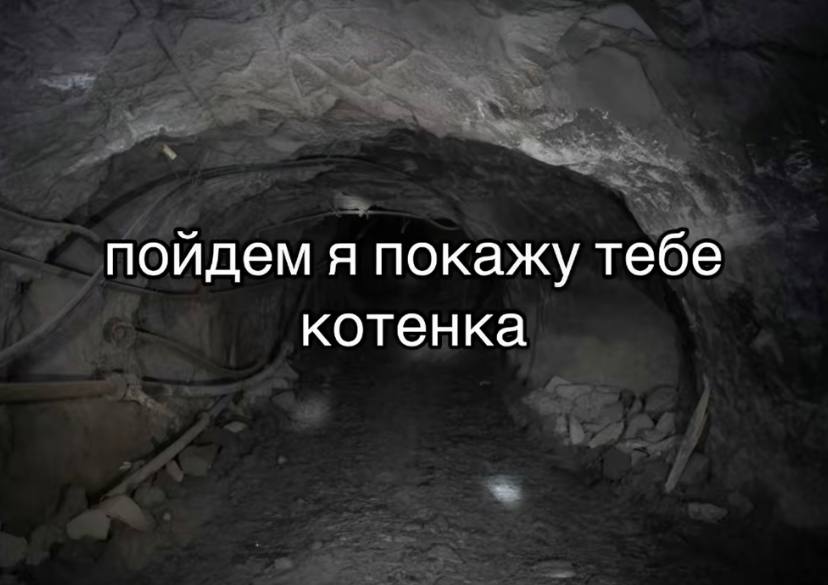 пойдем я покажу тебе котенка