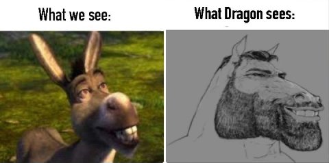 What we see: What Dragon sees: