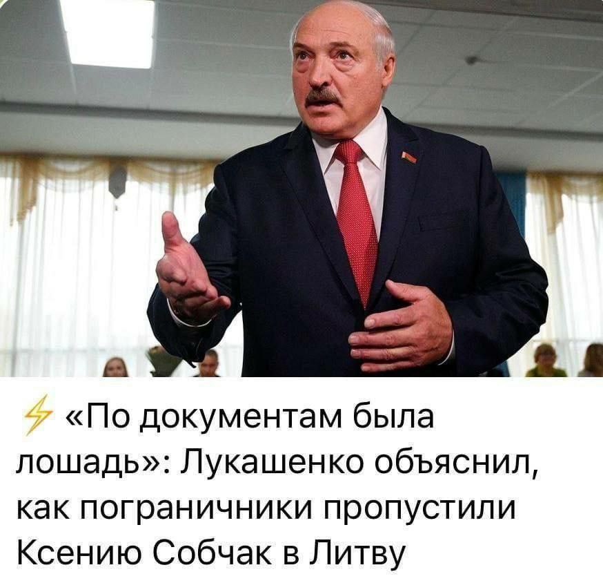 а «По документам была лошадь»: Лукашенко объяснил, как пограничники пропустили Ксению Собчак в Литву