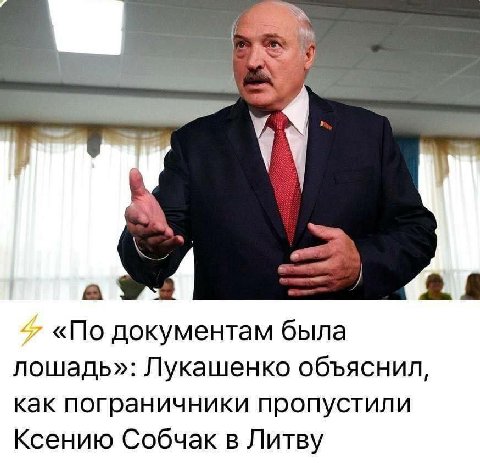 а «По документам была лошадь»: Лукашенко объяснил, как пограничники пропустили Ксению Собчак в Литву