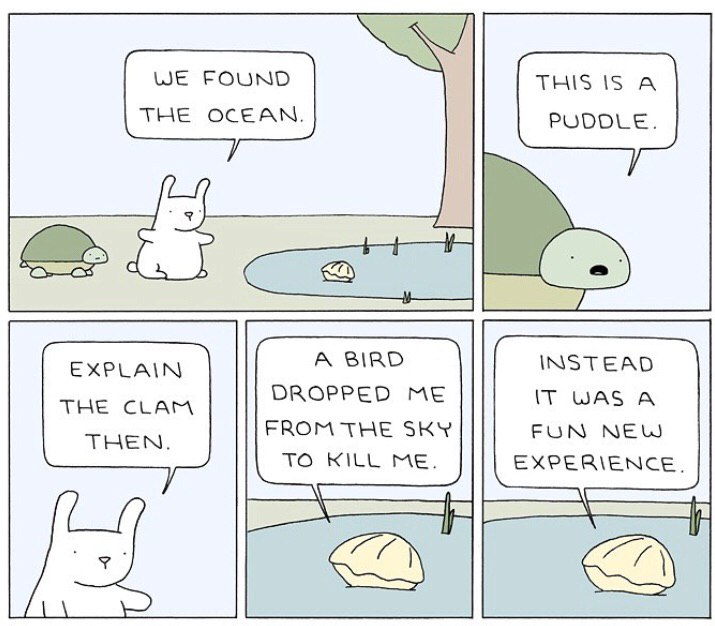 WE FOUND THIS IS А THE OCEAN. PUDDLE. А BIRD INSTEAD DROPPED ME IT WAS А THEN FROM THE SKY FUN NEW TO KILL ME. EXPERIENCE.