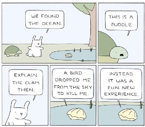 WE FOUND THIS IS А THE OCEAN. PUDDLE. А BIRD INSTEAD DROPPED ME IT WAS А THEN FROM THE SKY FUN NEW TO KILL ME. EXPERIENCE.