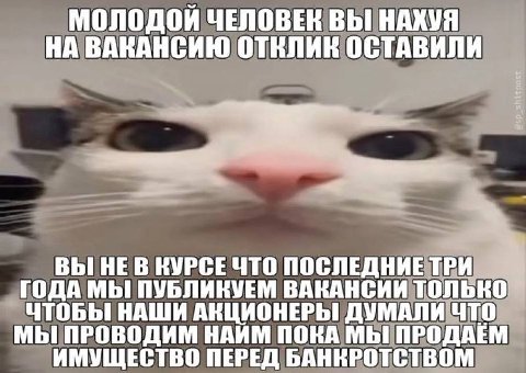 МОЛОДОЙ ЧЕЛОВЕК ВЫ НАХУЯ НА ВАКАНСИЮ ОТКЛИК ОСТАВИЛИ 4 ВЫ! НЕВ КУРСЕ ЧТО ПОСЛЕДНИЕ ТРИ ГОДА МЫ ПУБЛИКУЕМ ВАКАНСИИ ТОЛЬКО ЧТОБЫ НАШИ АНЦИОНЕРЫ ДУМАЛИ ЧТО МЫ ПРОВОДИМ НАИМ ПОКА МЫ! ПРОДАЕМ ИМУЩЕСТВО ПЕР