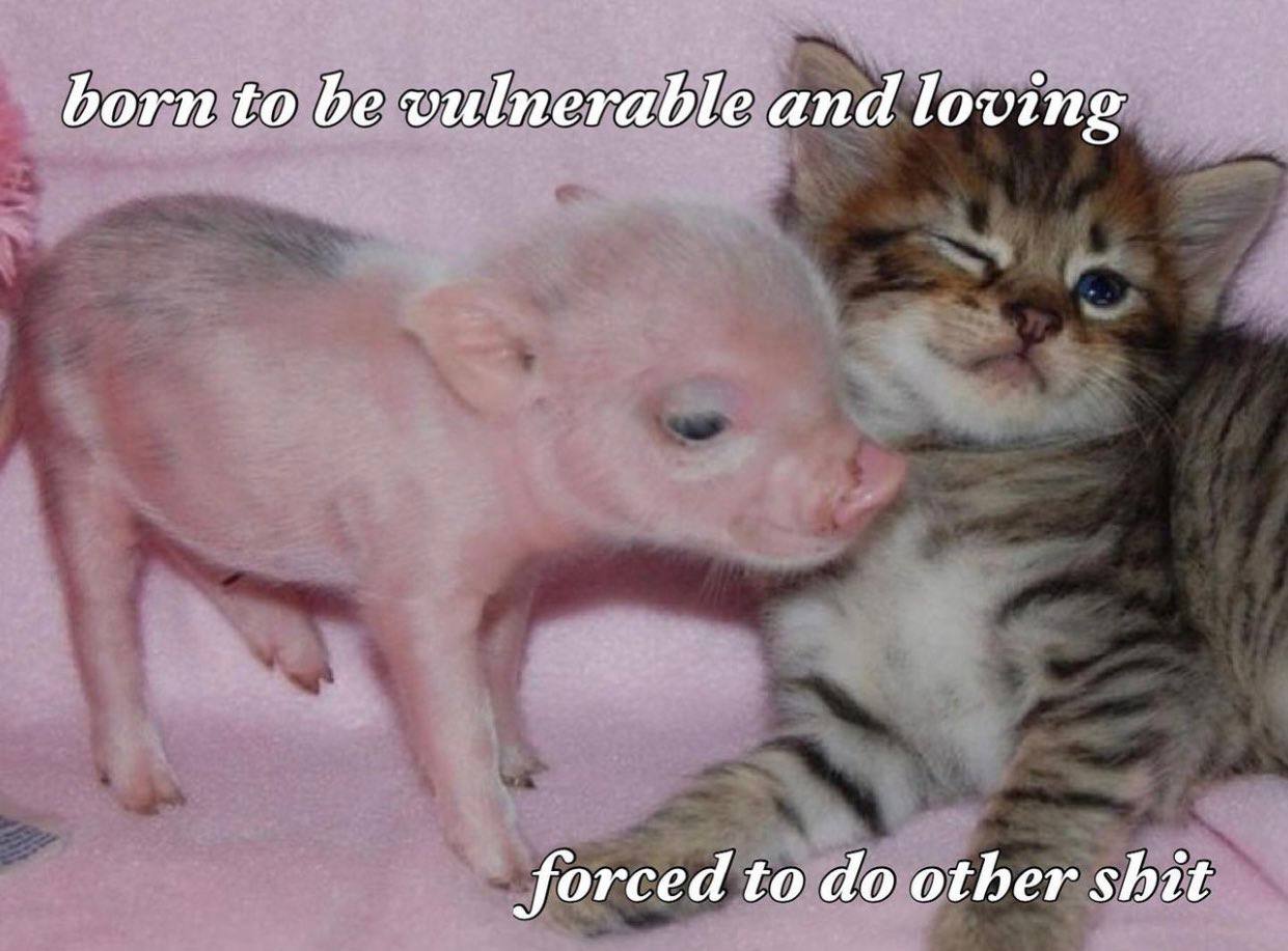 born to be vulnerable and loving forced to other shit