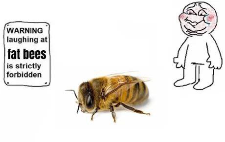 WARNING laughing at fat bees is strictly forbidden