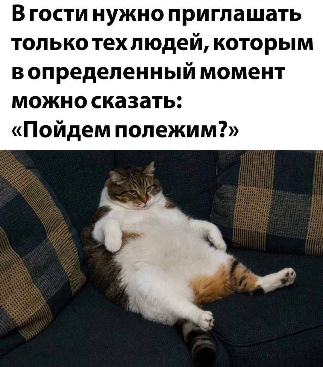 В гости нужно приглашать только техлюдей, которым момент можно сказать: «Пойдем полежим?»