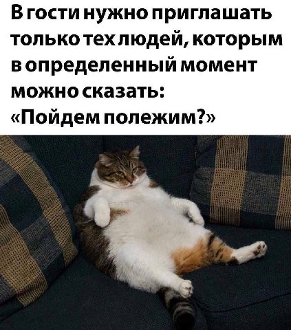 В гости нужно приглашать только техлюдей, которым момент можно сказать: «Пойдем полежим?»