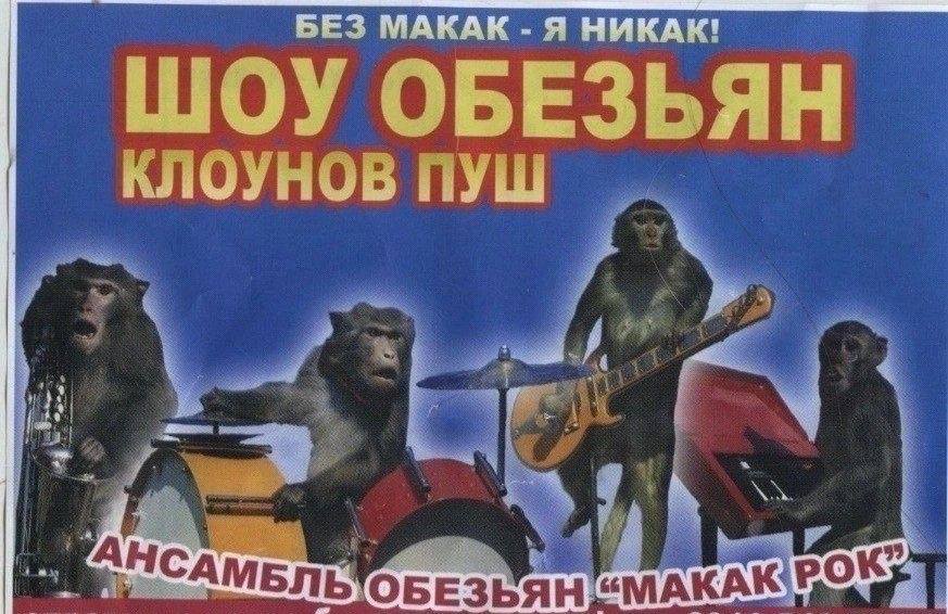 БЕЗ МАКАК Я НИКАК! ШОУ ОБЕЗЬЯН КЛОУНОВ ПУШ 99 “МАКАЮРОК