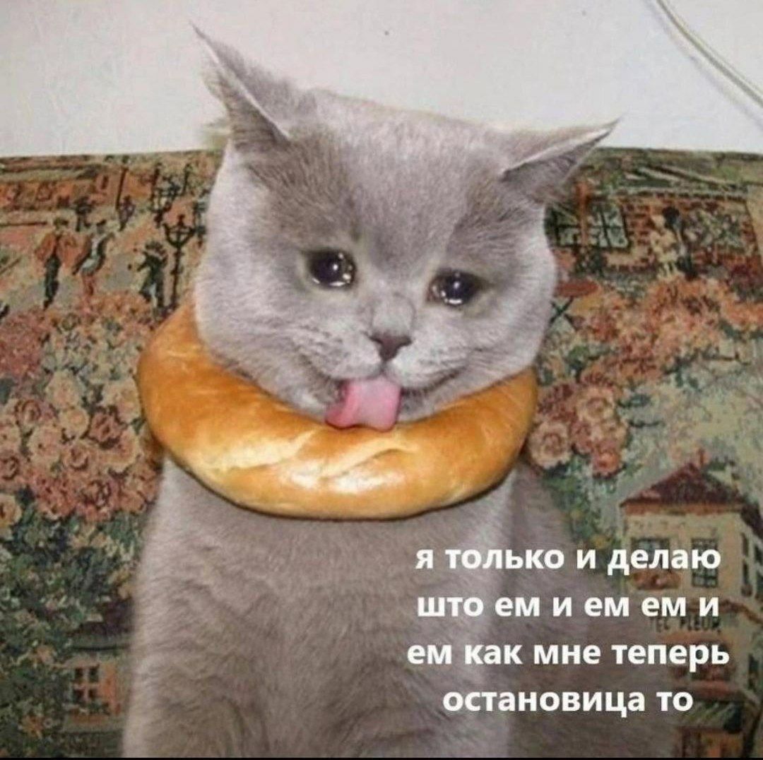 Be я только и делаю што емиемеми как мне теперь остановица то