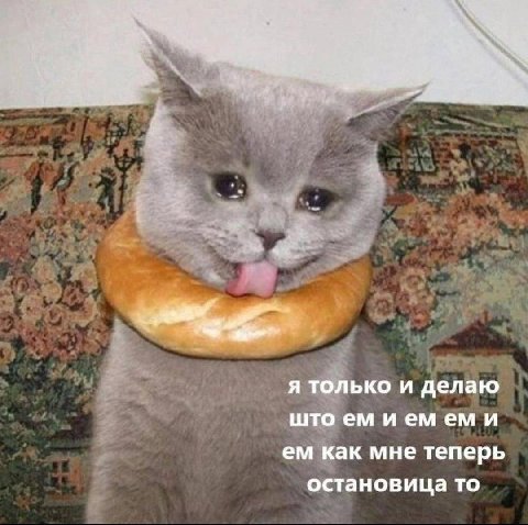 Be я только и делаю што емиемеми как мне теперь остановица то