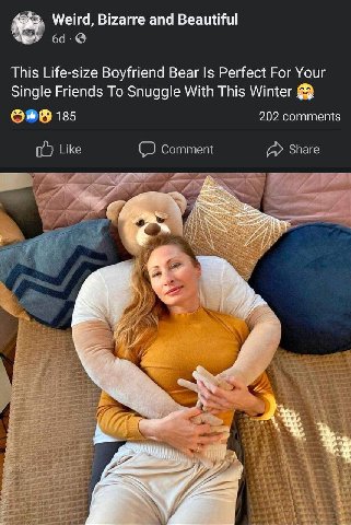 Weird, Bizarre and Beautiful This Life-size Boyfriend Bear Is Perfect Рог Your Single Friends To Snuggle With This Winter 185 202 comments
