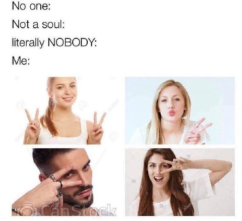 опе: Not a soul: literally NOBODY: Me pet