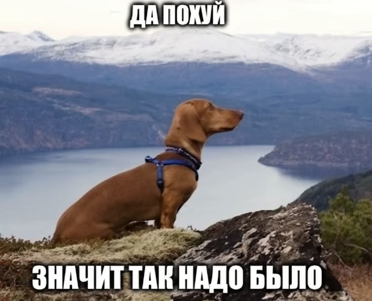 ДА ЗНАЧИТ ТАК НАДО БЫЛО
