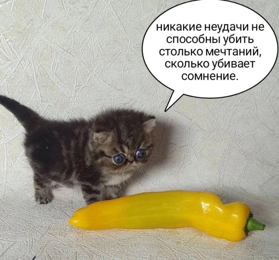 никакие неудачи не способны убить столько мечтаний, СКОЛЬКО уби вает сомнение.