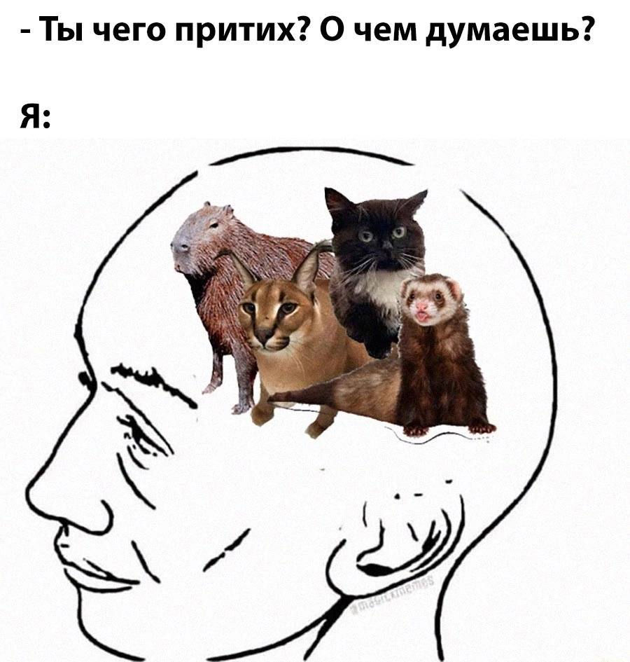 Ты чего притих? О чем думаешь? Я:
