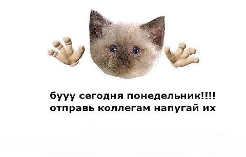 бууу сегодня понедельник отправь коллегам напугай