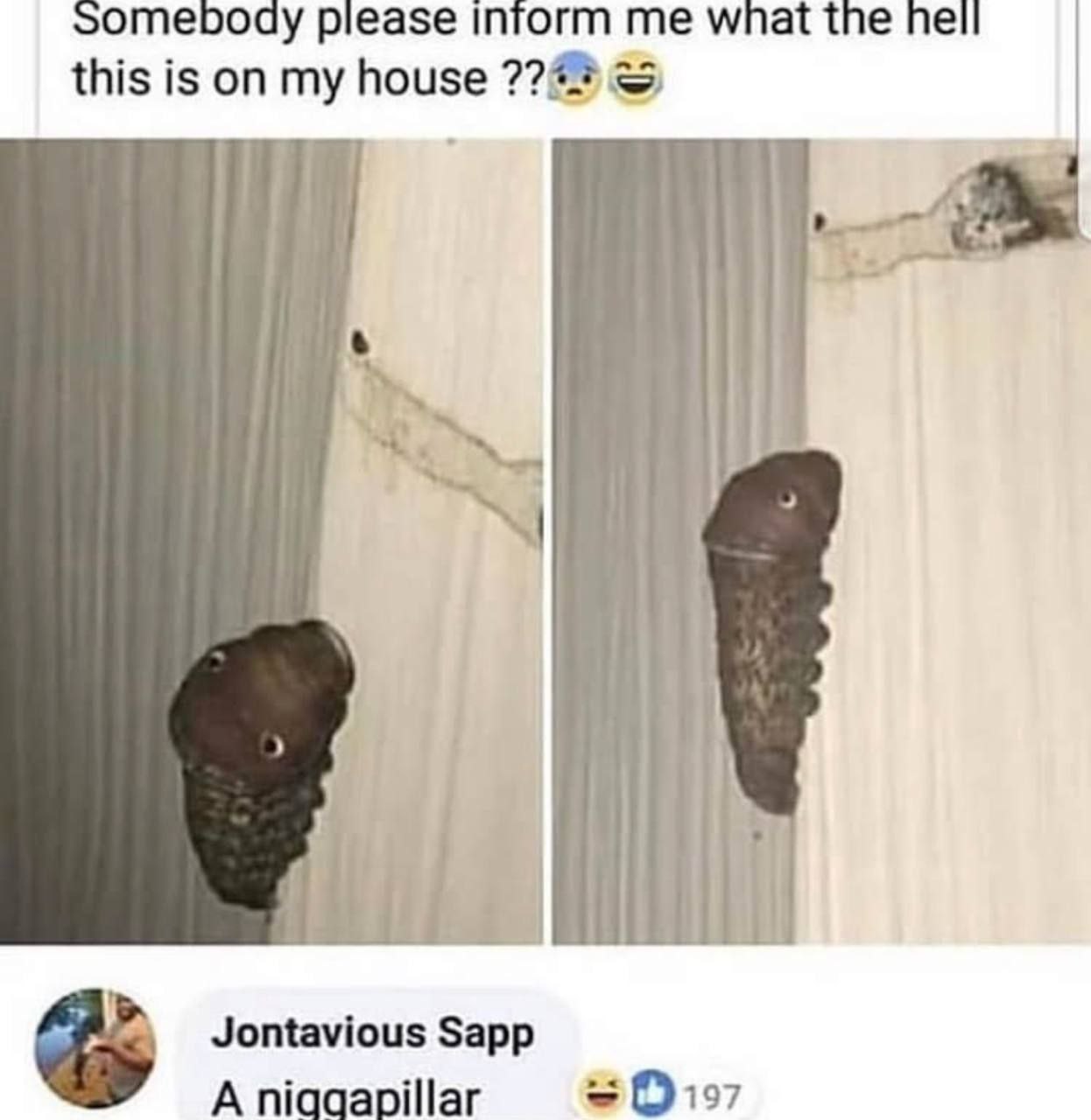 Somebody me what the hell this is on my house 724 Jontavious Sapp