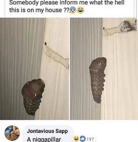 Somebody me what the hell this is on my house 724 Jontavious Sapp