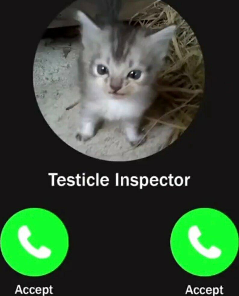 Testicle Inspector Accept Accept