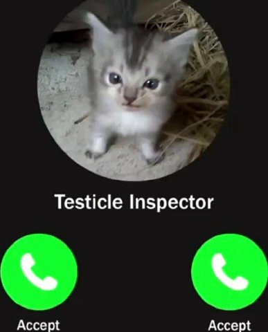 Testicle Inspector Accept Accept