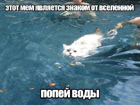 этотмем является знакомот вселенной попейводы
