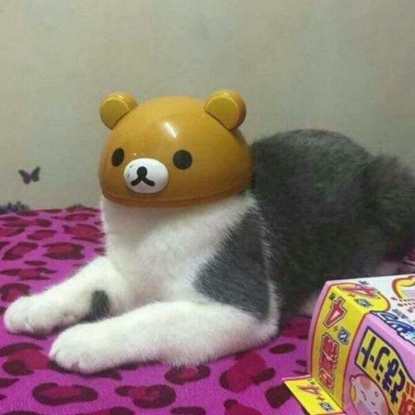 aN