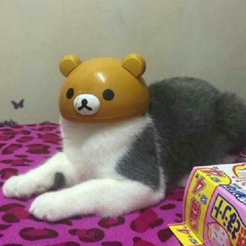 aN