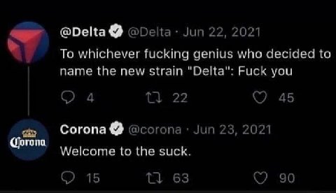 a @Delta @Delta Jun 22, 2021 To whichever fucking genius who decided to name the new strain "Delta": Fuck you 4 22 45 <a Согопа @corona Jun 23, 2021 Welcome to the suck. 15 63 90