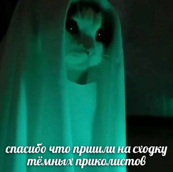 спасидо что пришли на сходку тёмных приколистов