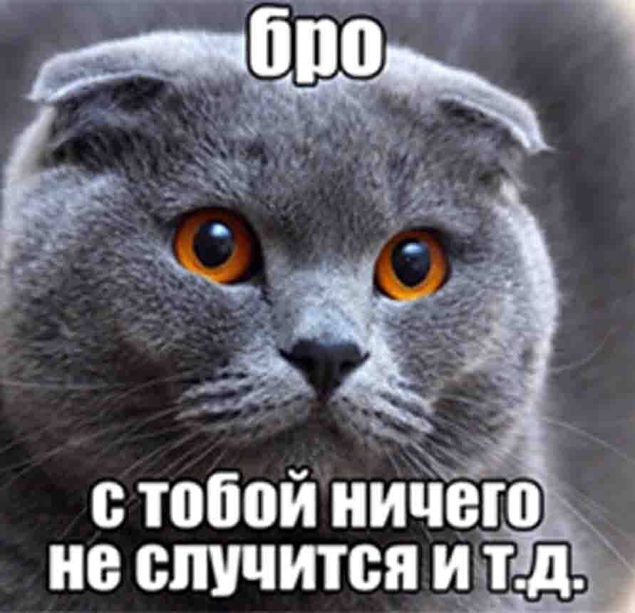 бро 3 a стобой ничего. не случится ит.д.