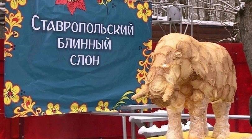 ВРОПОЛЬСКИЙ БЛИННЫЙ СЛОН