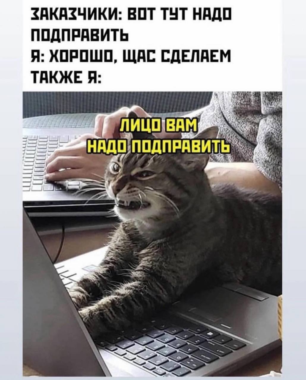 ЗАКАЗЧИКИ: ВОТ ТУТ НАДО ПОДПРАВИТЬ Я: ХОРОШО, ЩАС СДЕЛАЕМ ТАКЖЕ Я: ПОДПРАВИТЬ