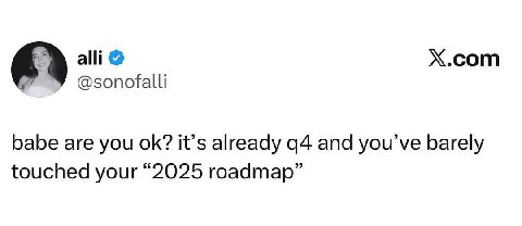 alli Х.сот У @sonofalli babe are you it’s already а4 and you’ve barely touched your “2025 roadmap”