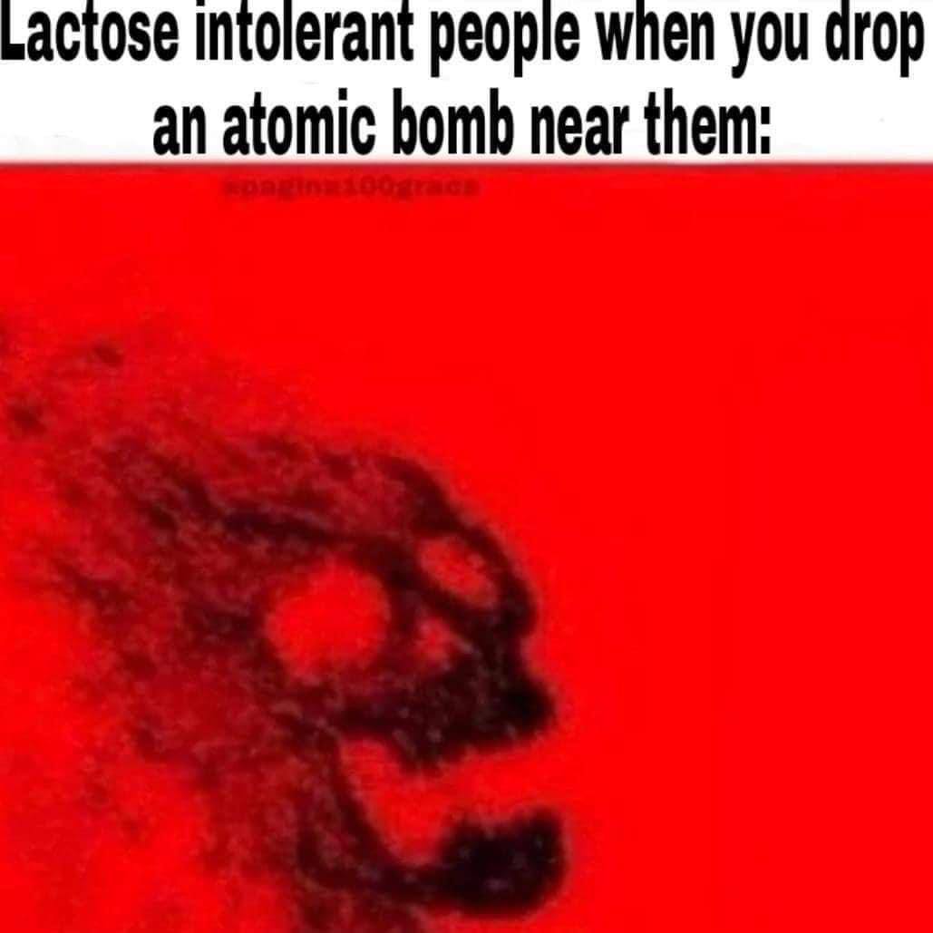 actose people when you drop an atomic bomb near them: