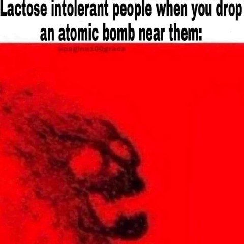 actose people when you drop an atomic bomb near them: