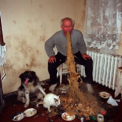 4 4 3 У 1 2