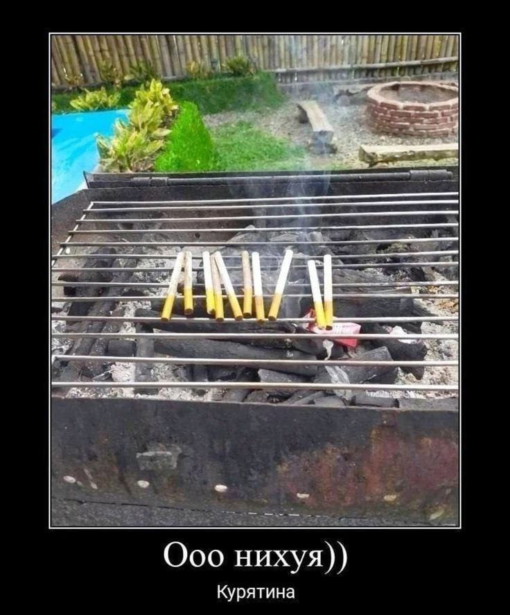 Ооо нихуя)) Курятина