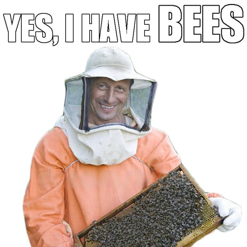 BEES у 4