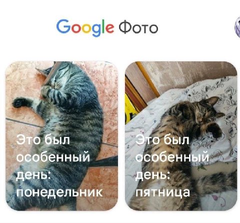 никогда себя не убивай

напоминание про байландо будет вечером возможн
