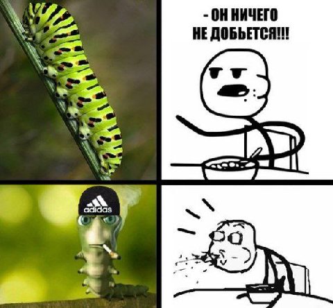 ОННИЧЕГО НЕ ДОБЬЕТСЯ!!! adidas
