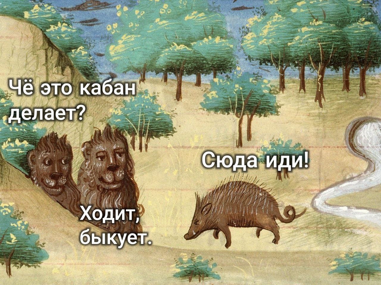 это кабан ade делает iff 9 Ходит быкует a