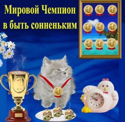 Мировой Чемпион в быть сонненьким