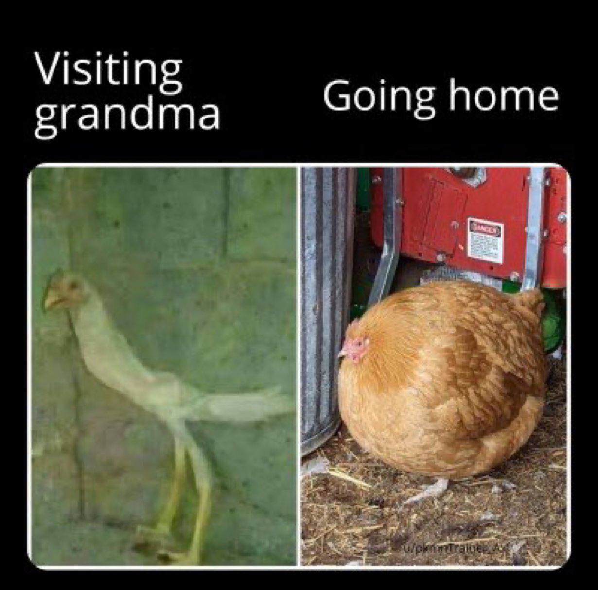 Visiting grandma Going home