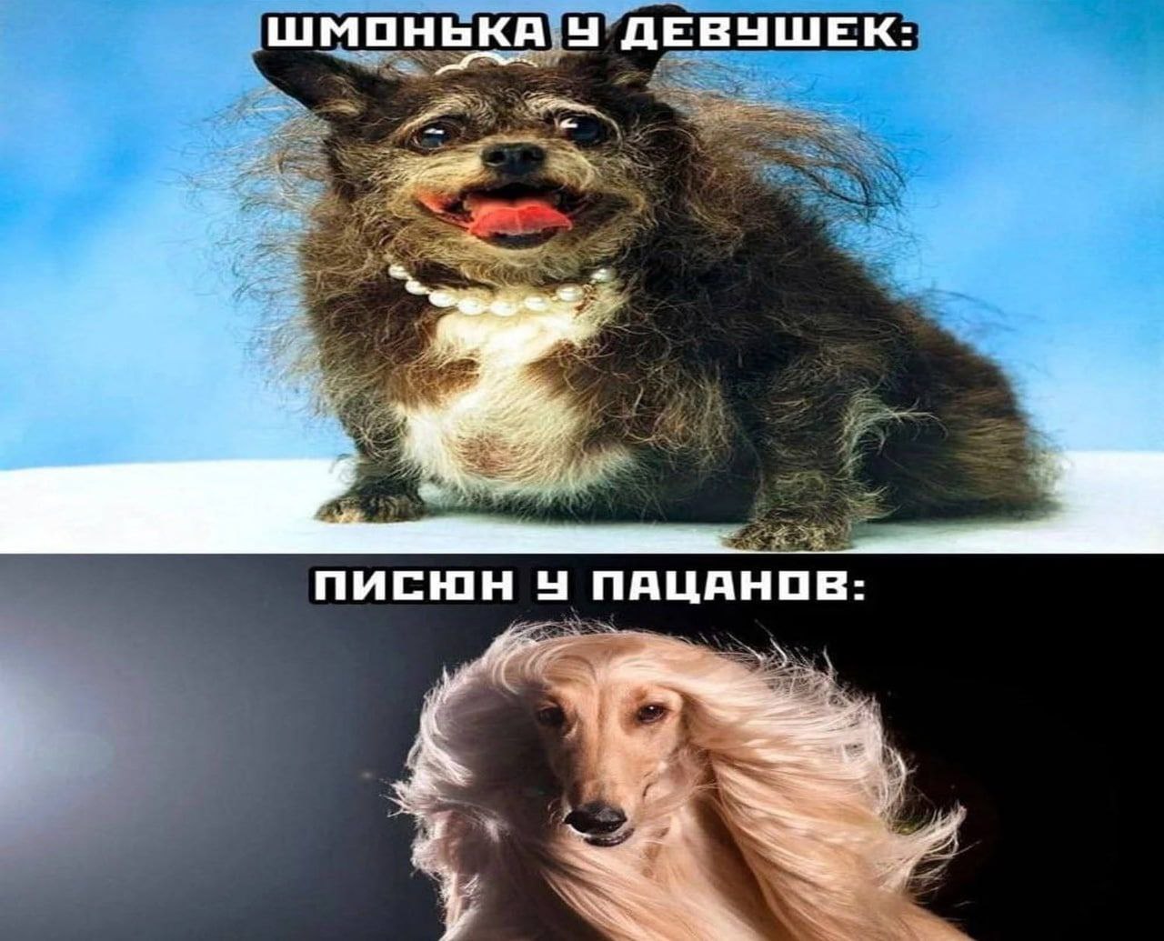 ШМОНЬКА ДЕВУШЕК: NMCHIH ПАЦАНОВ- i A