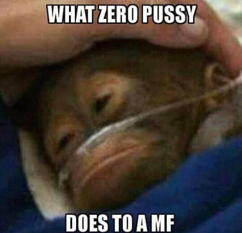 WHATZEROPUSSY DOES TOAME