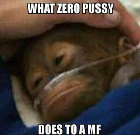 WHATZEROPUSSY DOES TOAME